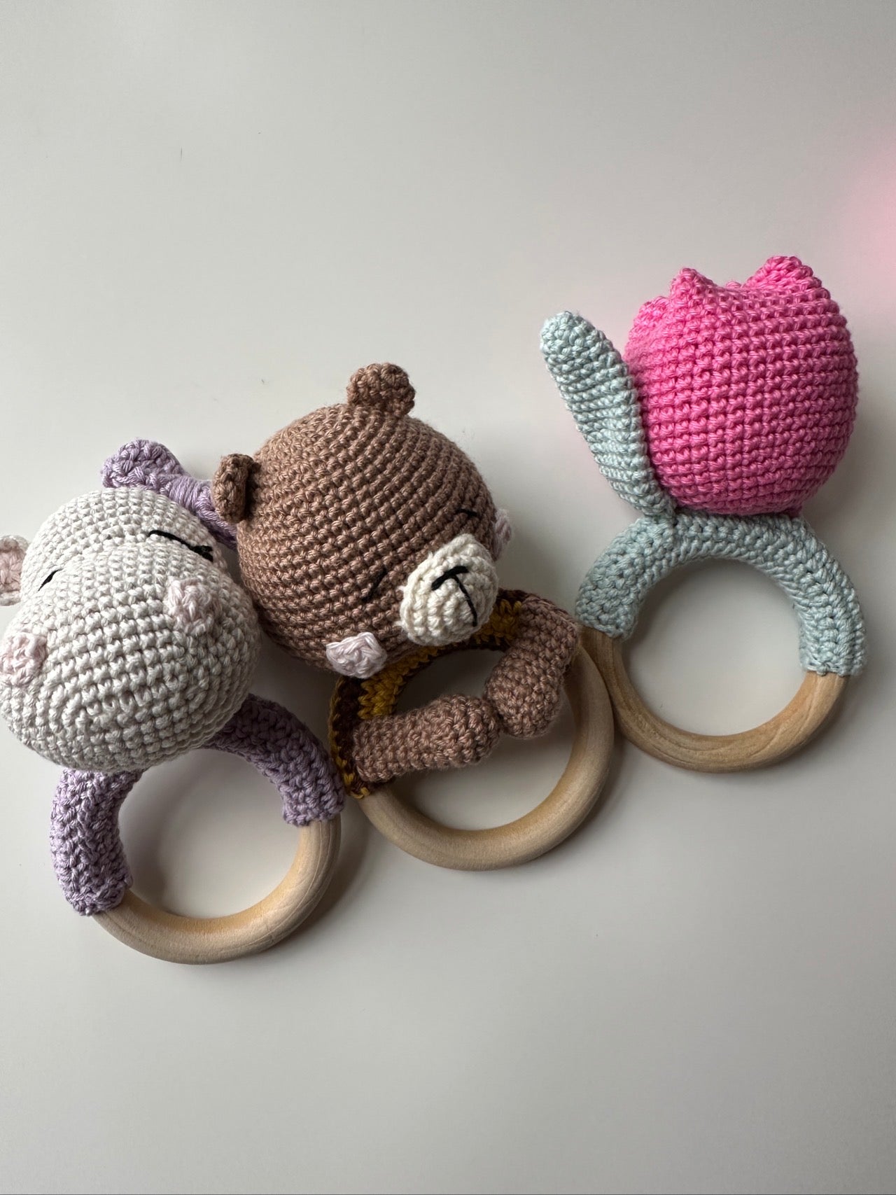 The Newborn (0 - 6 months)