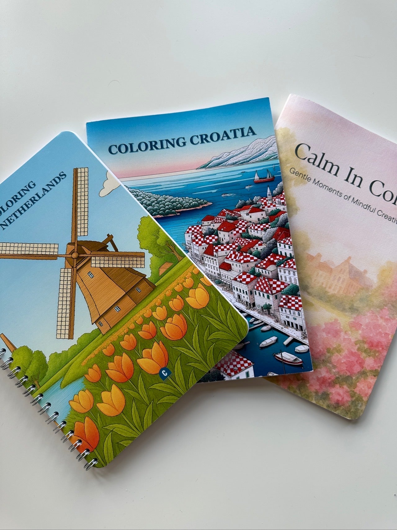 🖍️ Colorains by Gala Creatives