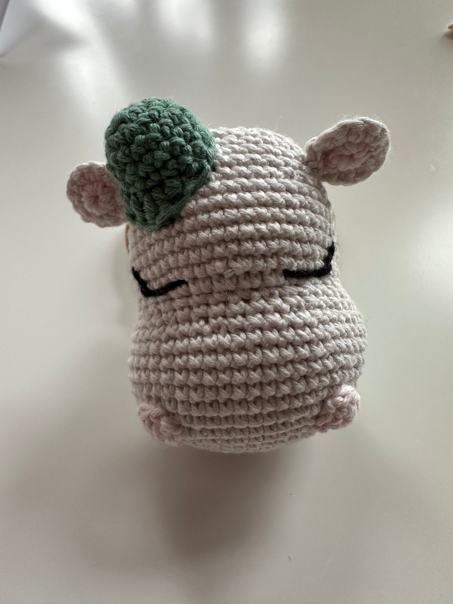 Hippo Rattle